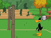 Daffy Duck Volleyball