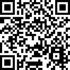 Super Flash Mario Bros. QR Code