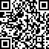 Bumper Cars Championship QR Code