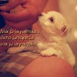 ♥♥Το Κοριτσι το0 Αγγελο0♥♥ (gogo0linimo0)