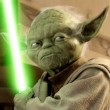 yoda